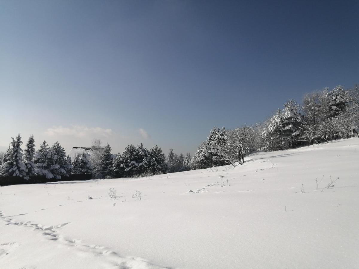 Goralska Ostoja Villa Pcim Екстериор снимка
